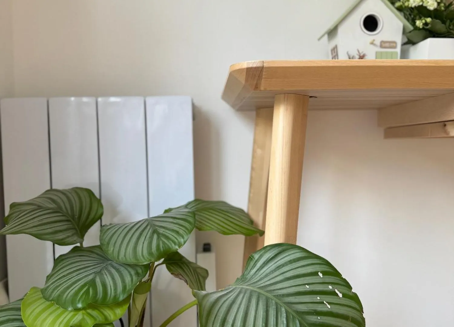 Maison Louise Creteil Guest house