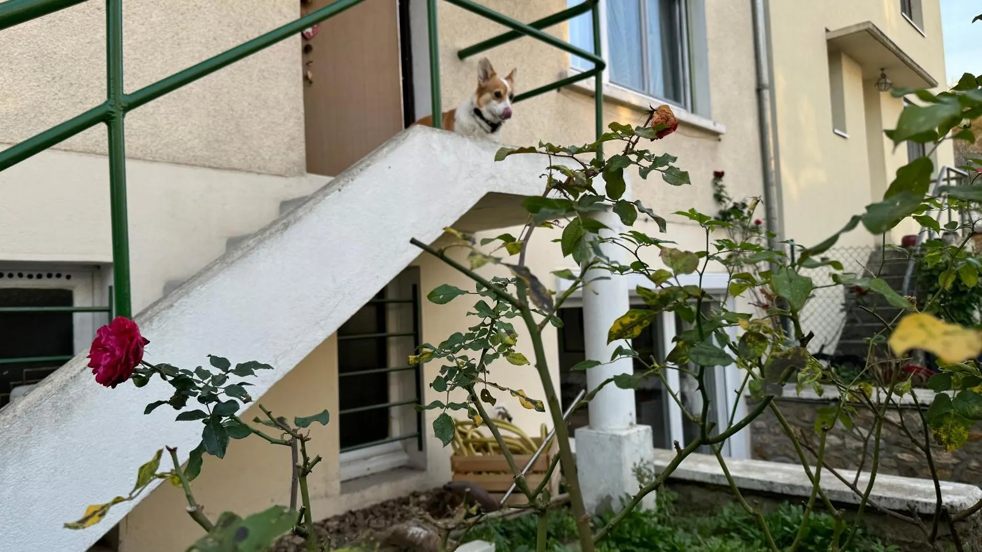 Maison Louise Creteil